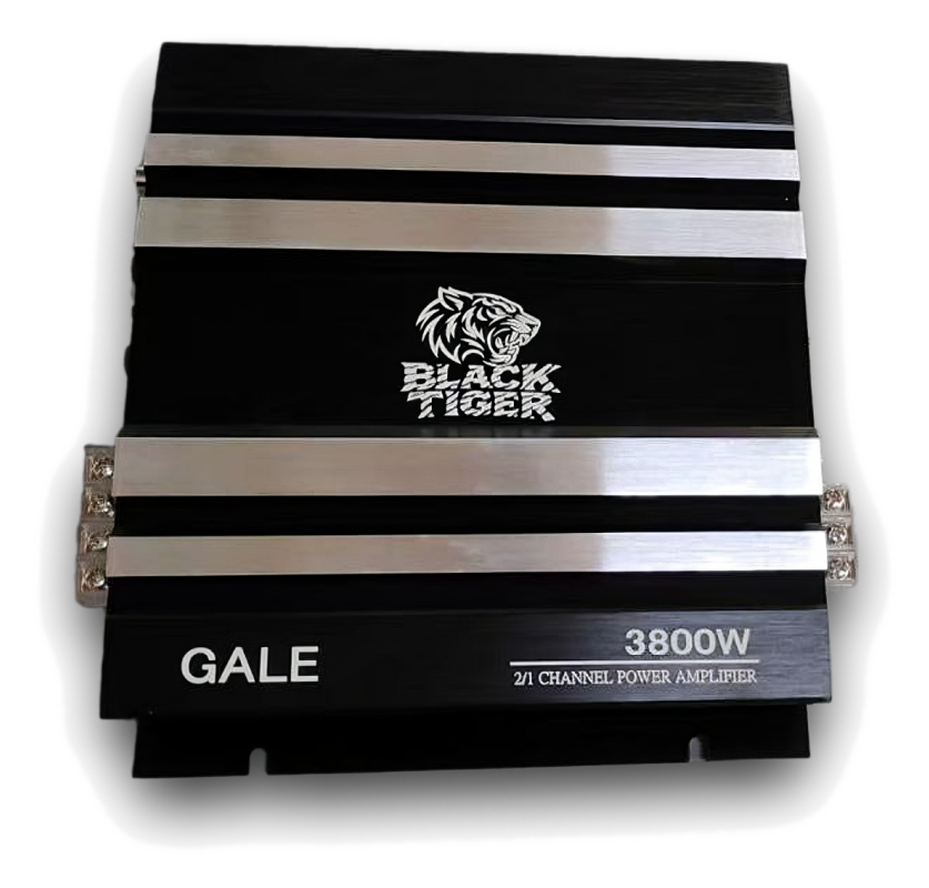 Gale 3800W